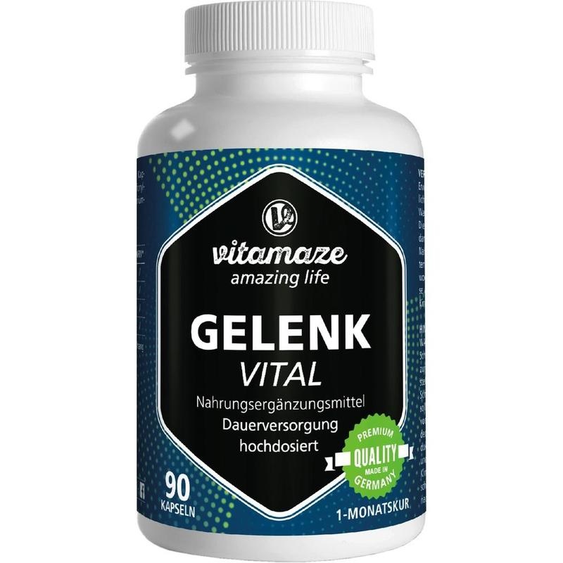 GELENK VITAL Kapseln